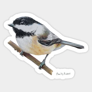 Chickadee drawing 5 Sticker